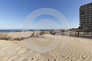 Dunes at Arenales del Sol in Elche. photo