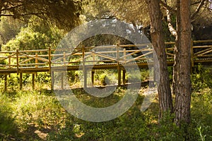 Dunes of artola natural reserve located in Cabopino Marbella Costa del Sol Malaga Spain