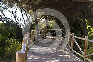 Dunes of artola natural reserve located in Cabopino Marbella Costa del Sol Malaga Spain