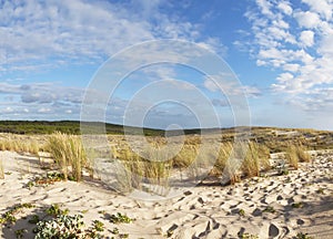 Dunes on Atlantic coast of France