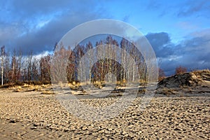 Dunes on the Baltic coast
