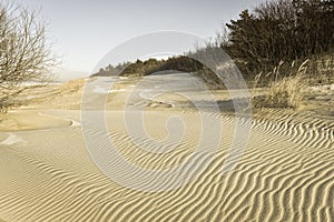 Dunes Baltic seacoast