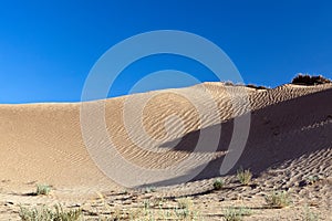 Dunes and barkhans Sahara desert largest hot desert north African continent of Tunis