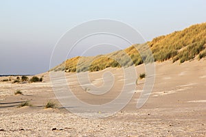 Dunes and beach at Ameland Island, Holland photo