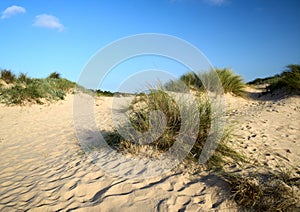 Dunes at the beach of Amoreira and Aljezur river near Aljezur in Algarve, south of Portugal