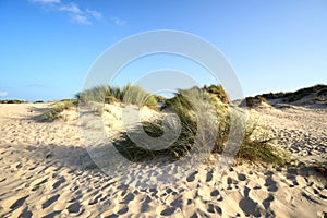 Dunes at the beach of Amoreira and Aljezur river near Aljezur in Algarve, south of Portugal