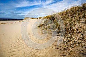 Dunes, Beach and Coast at Ameland, the Netherlands photo