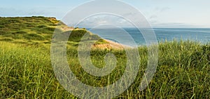 Dunes and Beach Grass.