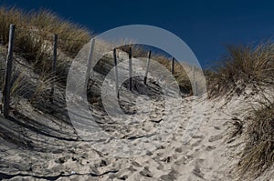 Dunes on a beach at Lacanau.