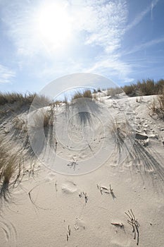 Dunes on a beach at Lacanau.