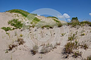 Dunes Beach sand dunes at Sandbanks Provincial Park