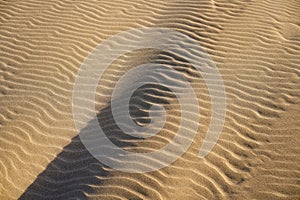 Dunes beach sand texture in Costa Dorada