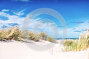 Dunes at the Beach of Skagen in northern Denmark