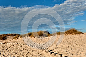 Dunes on the beach of Torreira