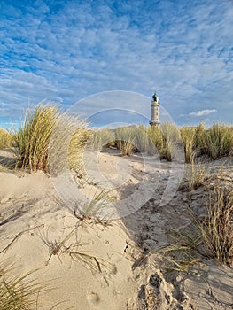 Dunes at the beach in warnemuende germany, lighthouse in the background