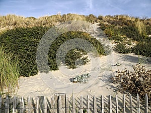 Dunes at Berck sur Mer in France.