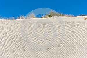 The dunes of Biscarrosse, France photo