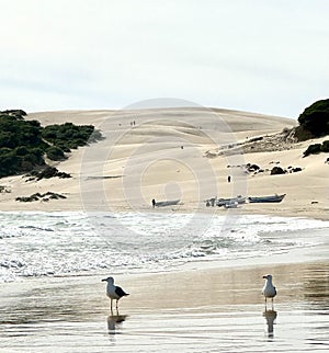 The Dunes of Bolonia photo