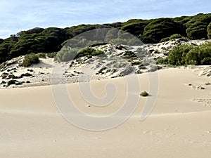 The Dunes of Bolonia photo