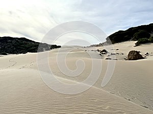 The Dunes of Bolonia photo