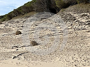 The Dunes of Bolonia photo