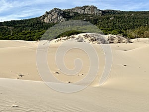 The Dunes of Bolonia photo