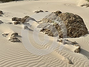 The Dunes of Bolonia photo