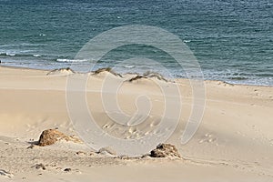 The Dunes of Bolonia photo