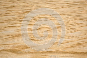 Dunes with buggy tracks