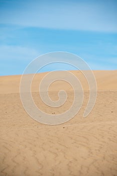 Dunes of the Cabo Polonia National Park in the Department of Rocha in Uruguay photo