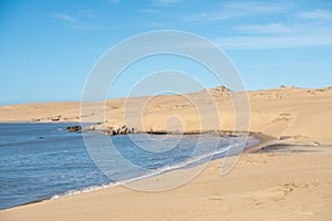 Dunes of the Cabo Polonia National Park in the Department of Rocha in Uruguay photo