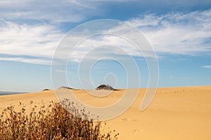 Dunes of the Cabo Polonia National Park in the Department of Rocha in Uruguay photo