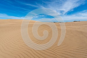 Dunes of the Cabo Polonia National Park in the Department of Rocha in Uruguay photo