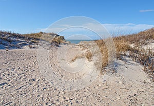 Dunes at Cape Hatteras National Seashore