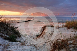 Dunes on the coast of the Baltic Sea, beach, white sand, grass, blue sky, Kolobrzeg, Poland.