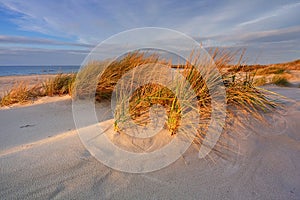 Dunes on the coast of the Baltic Sea, beach, white sand, grass, blue sky, Kolobrzeg, Poland.