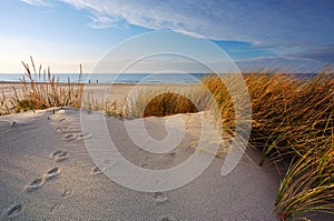 Dunes on the coast of the Baltic Sea, beach, white sand, grass, blue sky, Kolobrzeg, Poland.