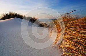 Dunes on the coast of the Baltic Sea, beach, white sand, grass, blue sky, Kolobrzeg, Poland.