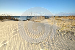 Dunes on the coast of the Baltic Sea on a beautiful spring day.