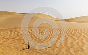 Dunes and colored sands of the Rub al-Khali desert