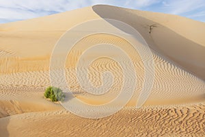 Dunes and colored sands of the Rub al-Khali desert
