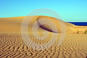 Dunes of Corralejo, Fuerteventura, Canary Islands, Spain. photo