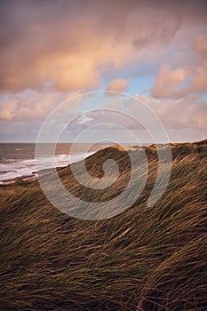 Dunes at danish west coast in the evening