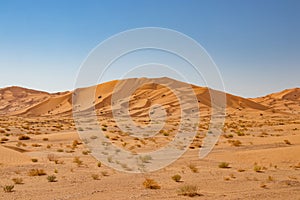 Dunes in the desert of Rub al Khali or Empty Quarter