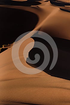 Dunes in the desert of Sahara, Morocco.