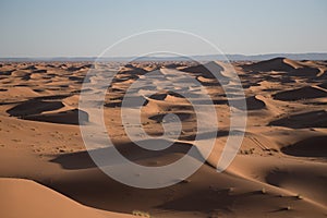 Dunes in the desert of Sahara, Morocco. photo