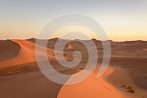 Dunes in the desert of Sahara, Morocco. photo