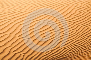 Dunes in Dubai desert