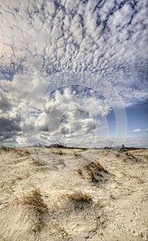 Dunes on the Dutch coast