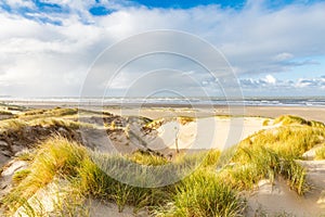 Dune landscape Dutch coast with sand drifts and wind eroded deep holes